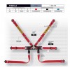 Cintura Sabelt STEEL Formula basic-CFCI4350S622FU3F6